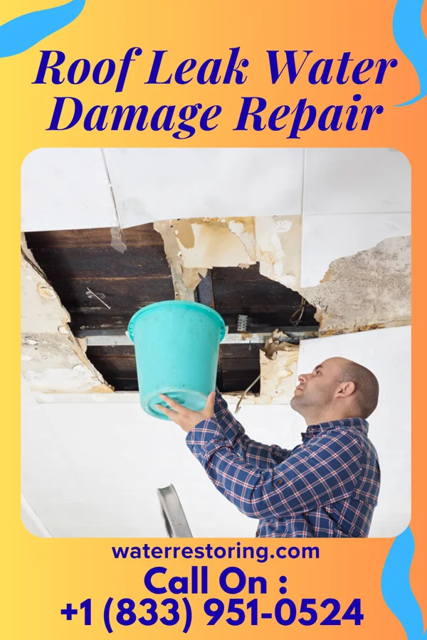 Roof Leak Water Damage Repair in Gulf Park Estates, MS