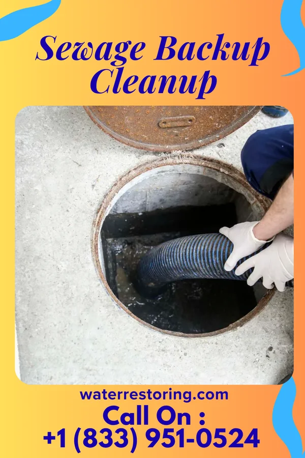 Sewage Backup Cleanup in Gulf Park Estates, MS