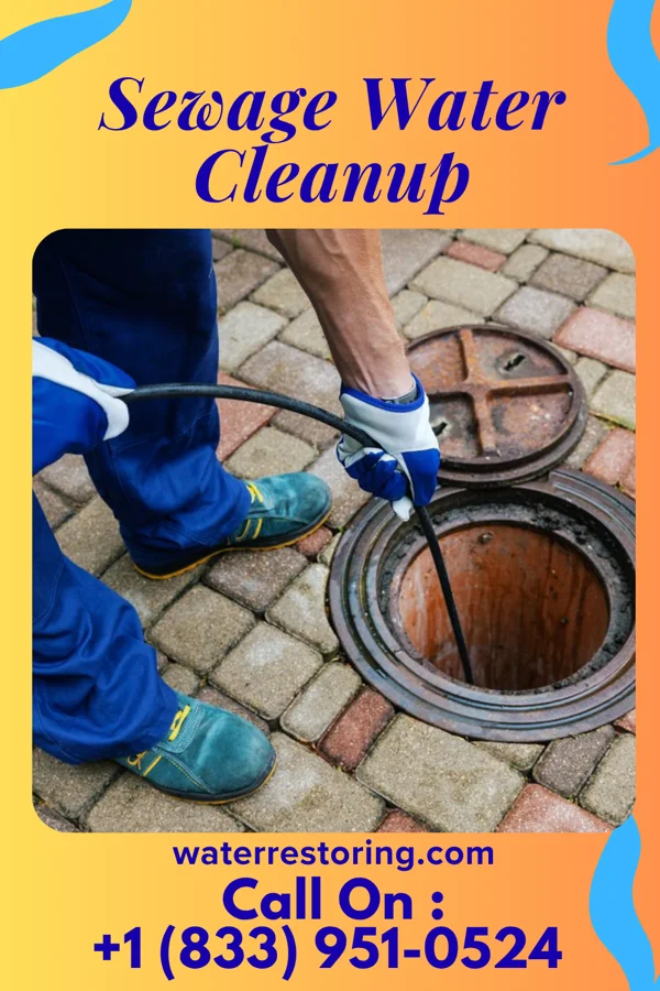 Sewage Water Cleanup in Gulf Park Estates, MS