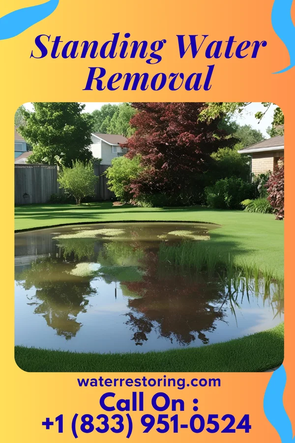 Standing Water Removal in Gulf Park Estates, MS